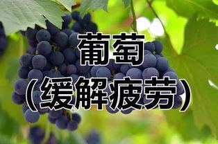 吃瓜捉虫过小暑有声,吃瓜捉虫,共度小暑时光