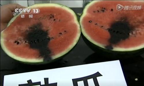 文哥吃瓜视频,揭秘娱乐圈幕后故事