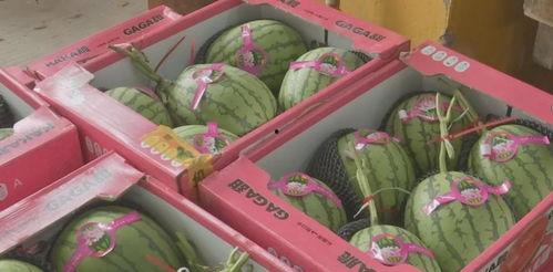 吃瓜网福利吧,揭秘热门福利活动,带你畅享网络盛宴!