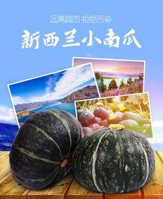 新西兰小瓜怎么吃,新西兰小瓜的多彩食法探索