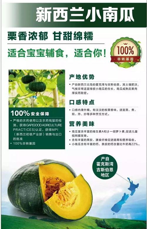 新西兰小瓜怎么吃,新西兰小瓜的多彩食法探索