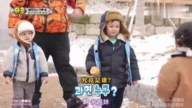 本特利和威廉吃瓜