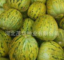 瓢瓜种子怎么吃,解锁健康营养新选择