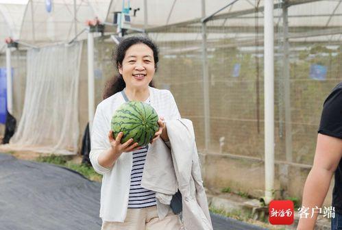 王莉吃瓜,揭秘娱乐圈幕后故事