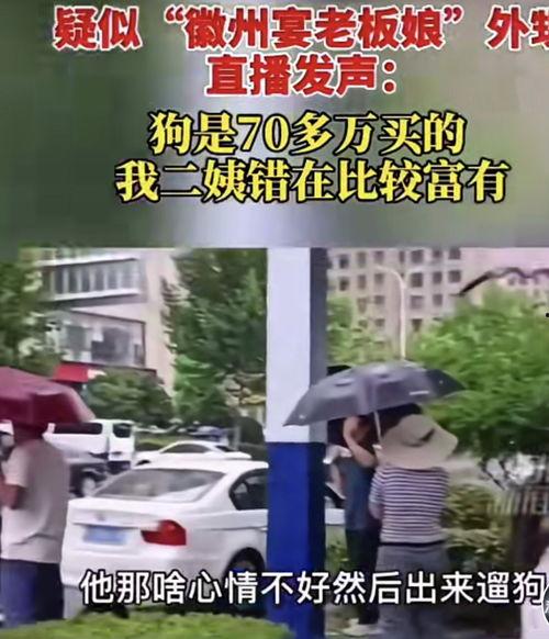 吃瓜外甥小姨,吃瓜外甥与小姨的趣味日常