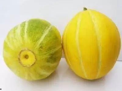 湖州安霞吃瓜,一场夏日里的美食之旅